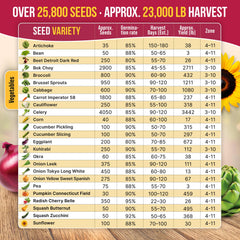 Organo Republic seed close-up showing heirloom seed textures and quality for reliable germination