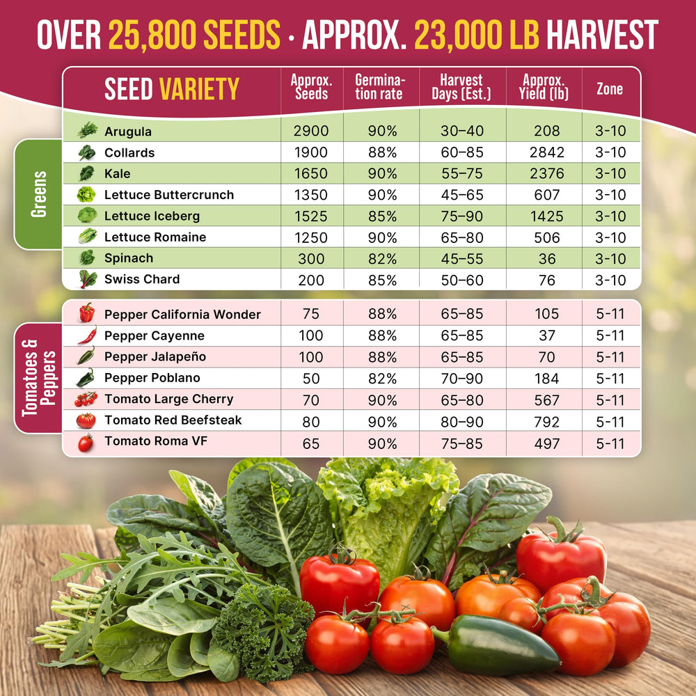 Organo Republic seeds in hand to show scale and abundance for bulk gardening projects