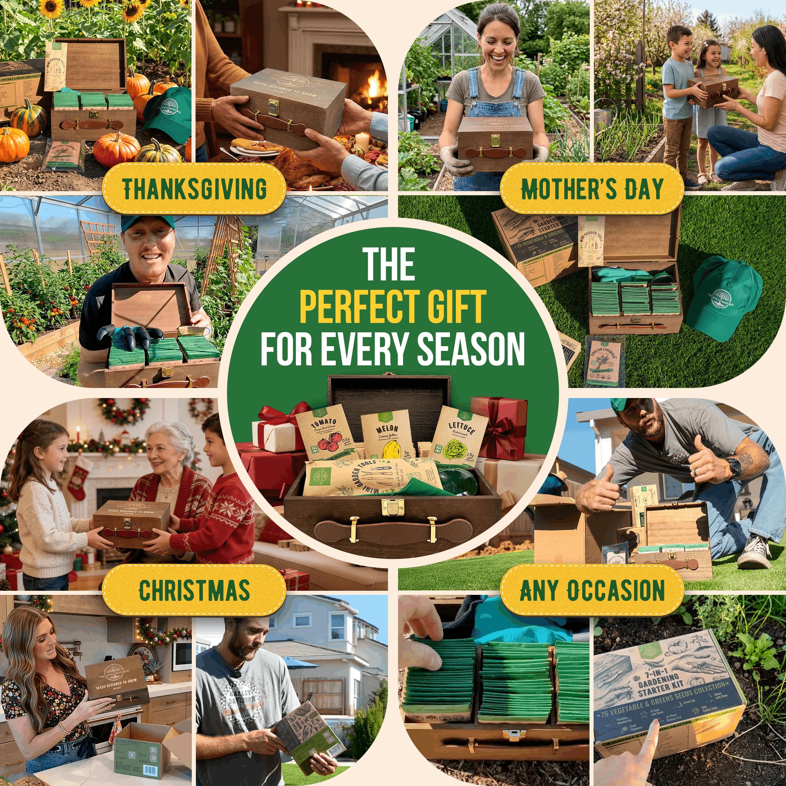 Organo Republic seed packs placed in potting trays showing scale and planting preparation