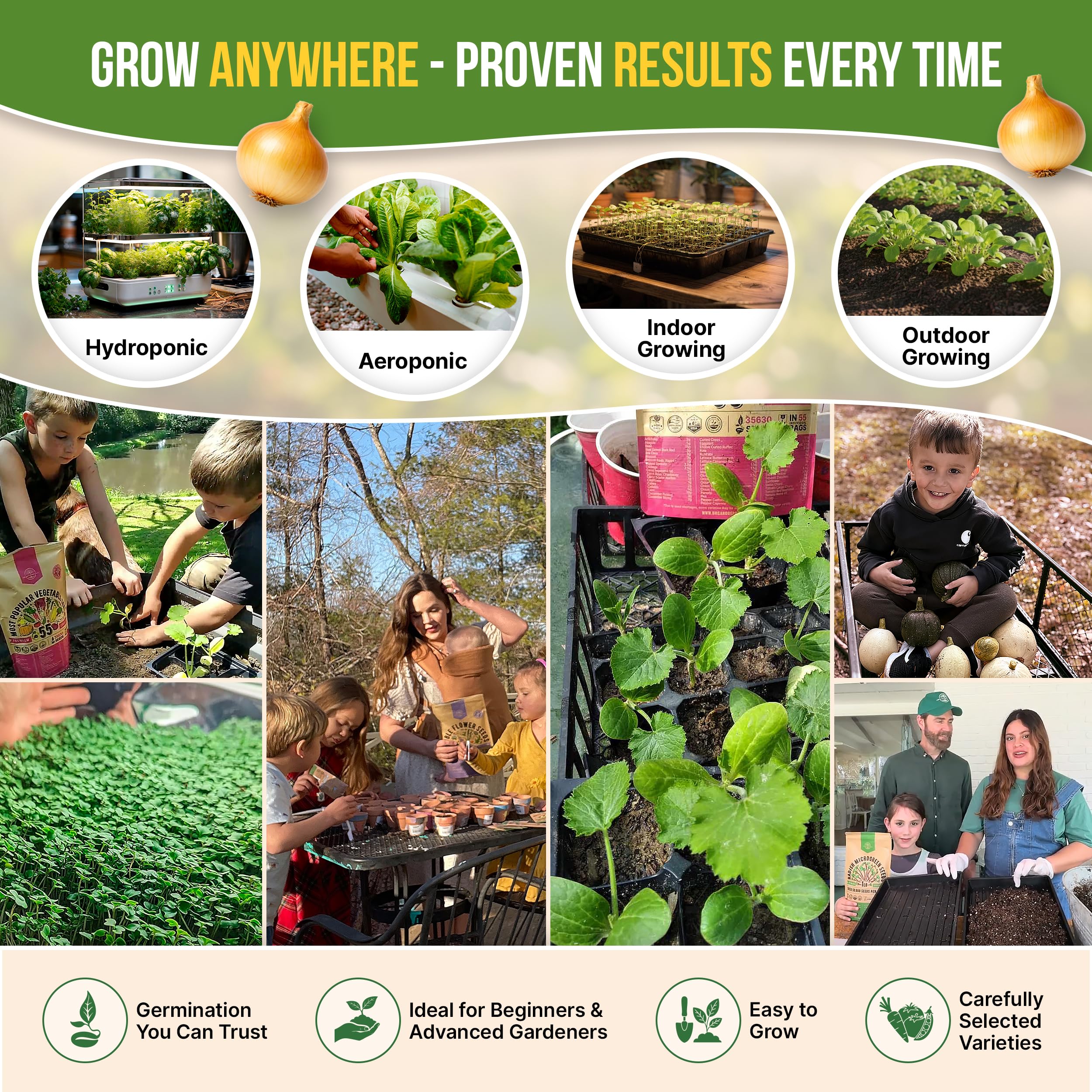Organo Republic size and contents layout with 50 packets and tools, clarifies kit value