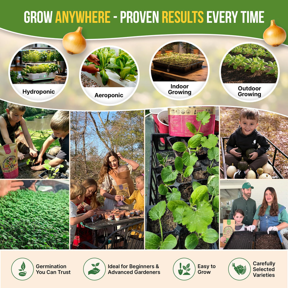Organo Republic size and contents layout with 50 packets and tools, clarifies kit value
