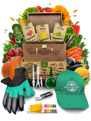 Organo Republic wooden storage box open showing organized seed packs and tools for neat storage