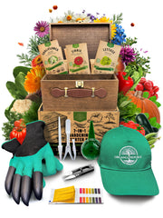 Organo Republic wooden storage box showing organized seed packs for tidy gardening
