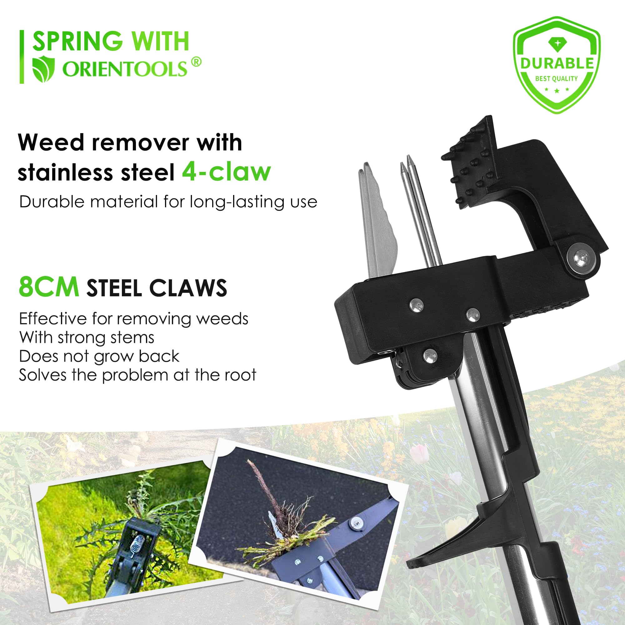 ORIENTOOLS weeder extended in use by gardener, saves back from bending