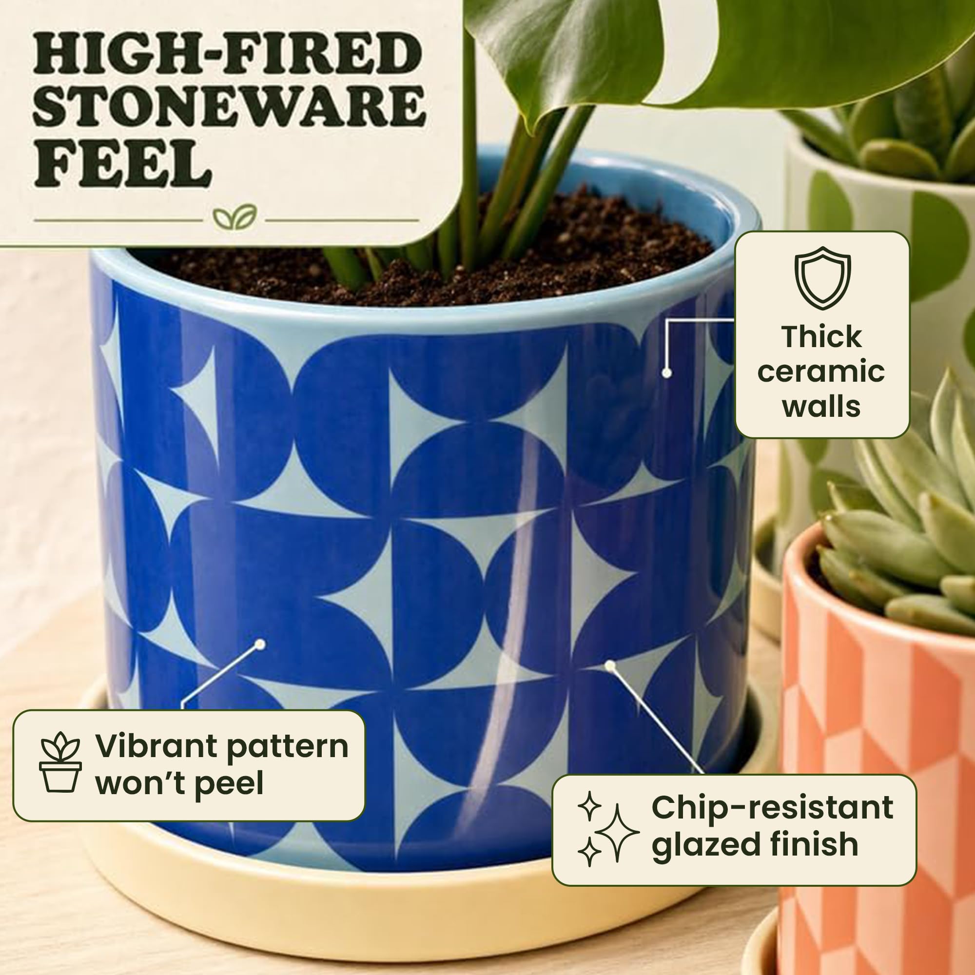 Original Earthlings in-use on a windowsill with plants, creating a layered stylish display