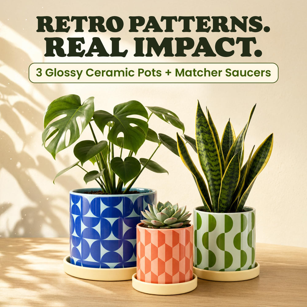 Original Earthlings large pot close-up of geometric pattern, enhancing room decor