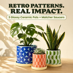 Original Earthlings large pot close-up of geometric pattern, enhancing room decor