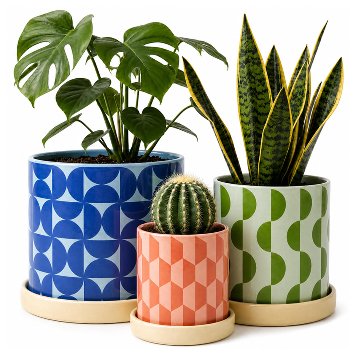 Original Earthlings front packaging showing three nested pots, ready to gift and display