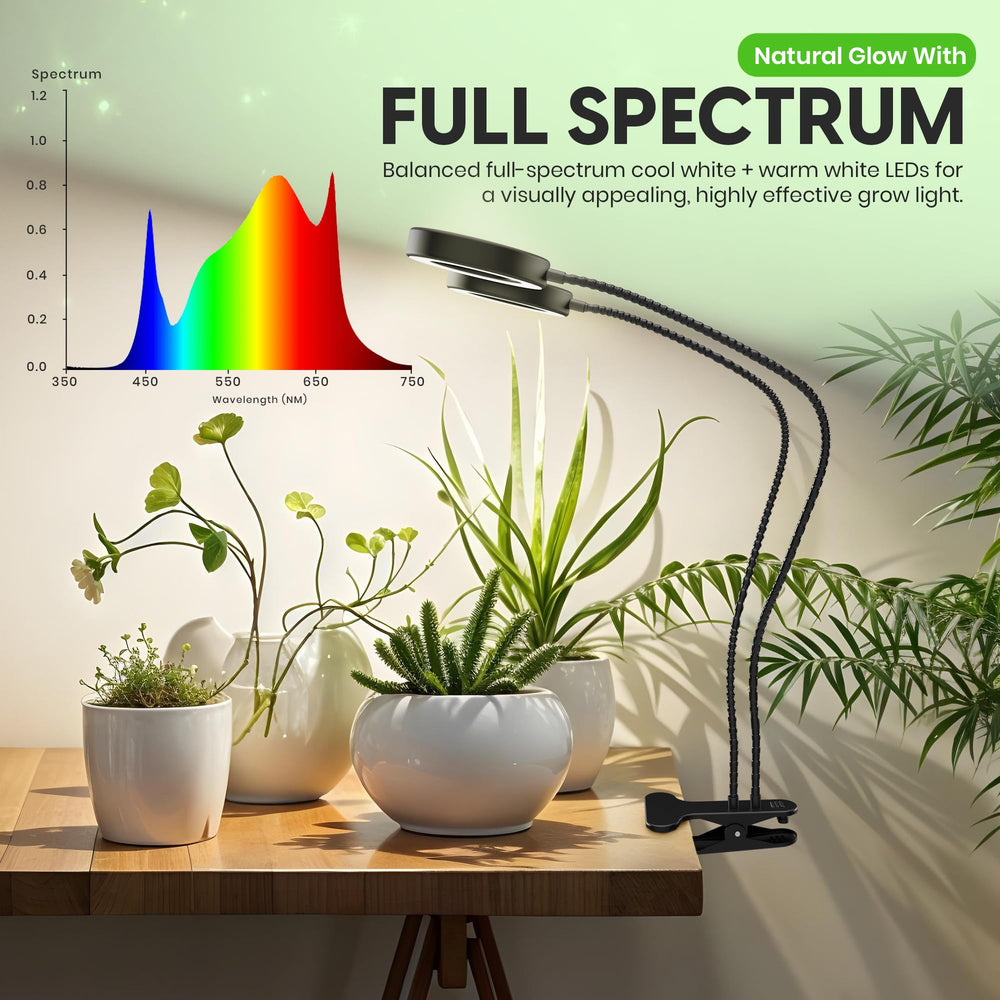 OSANI lamp illuminating seedlings to speed early growth and uniform light benefit