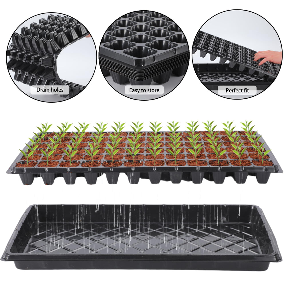 Oscorna trays on a greenhouse shelf in use showing space-saving, high-density seed starting
