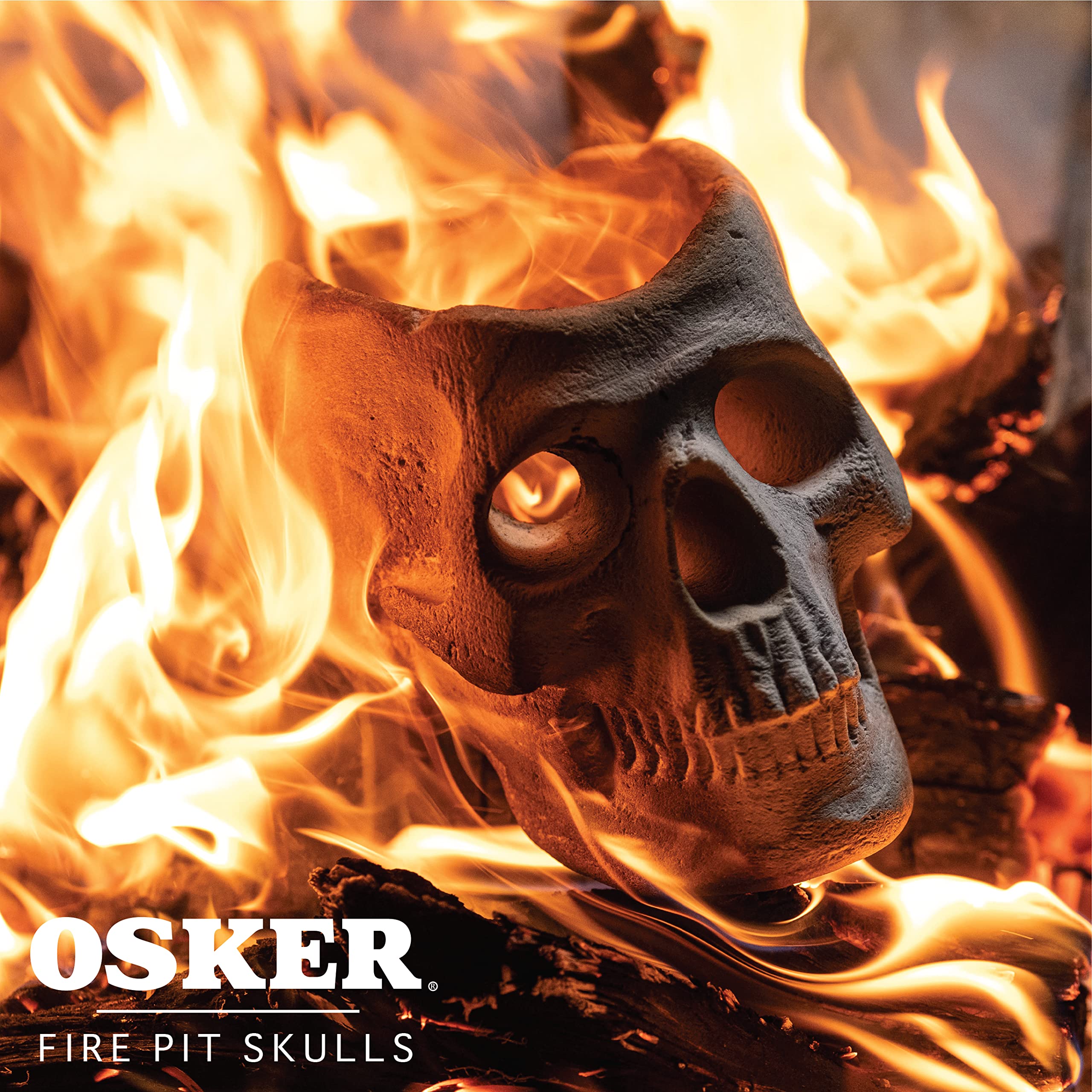 OSKER skull next to ruler showing 9-inch size for accurate scale reference