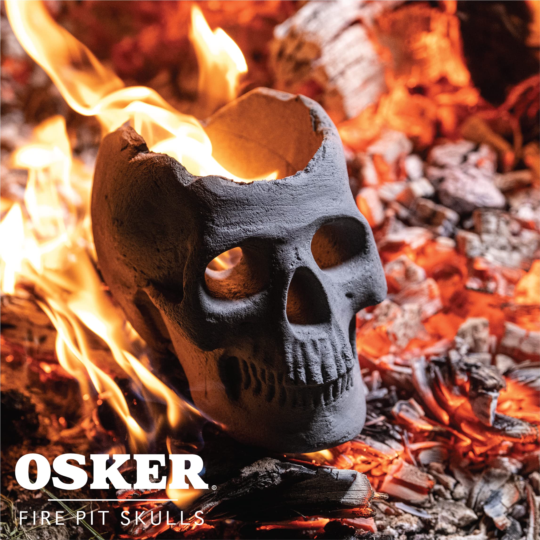 OSKER skull next to a hand to show 9-inch scale and size clarity