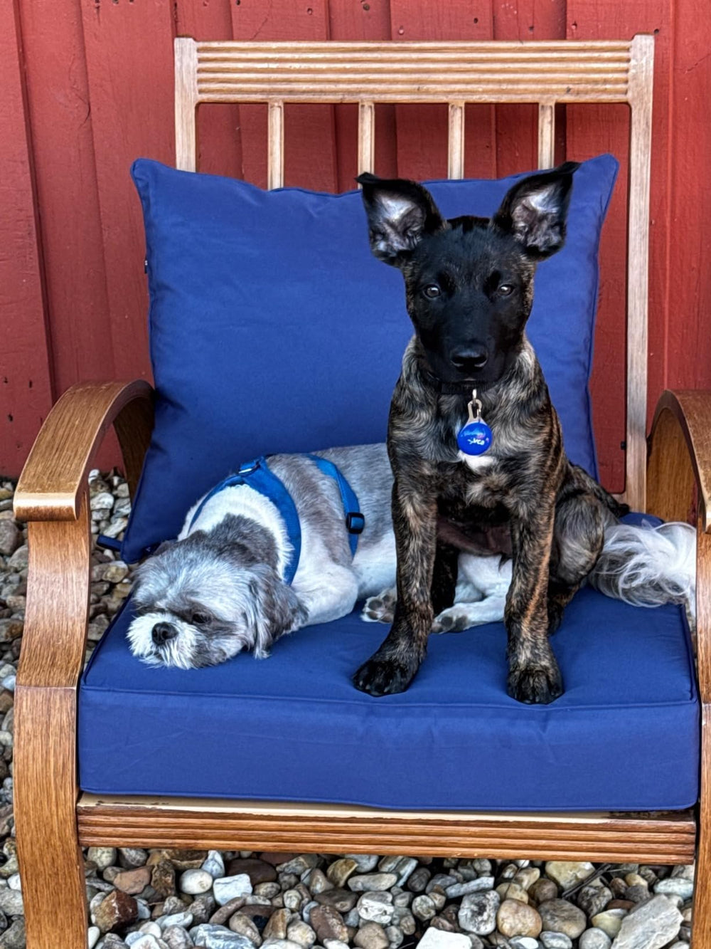 Oslimea back and seat covers paired on outdoor chair improving comfort look