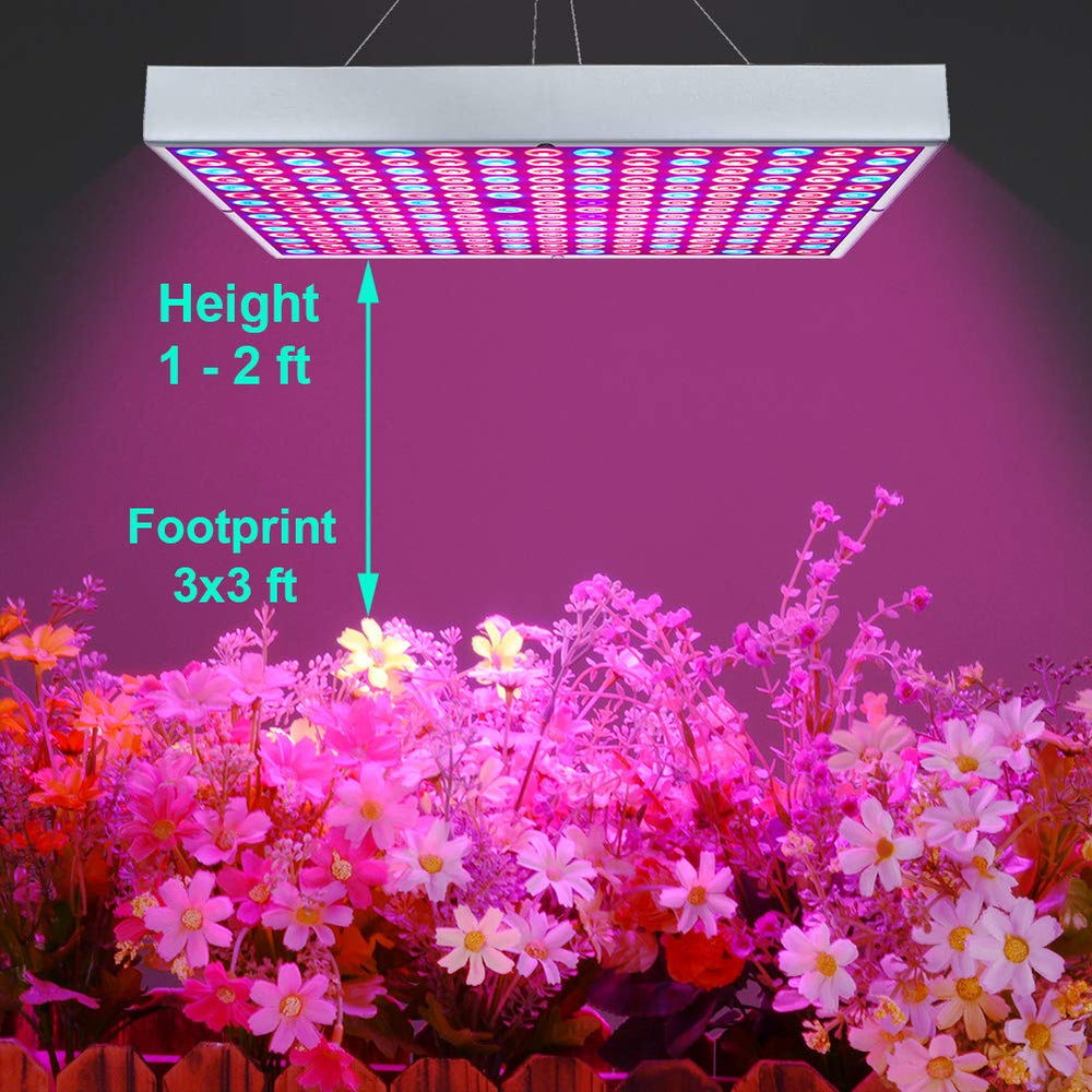 Osunby beside potted plant showing recommended hanging distance and intensity control