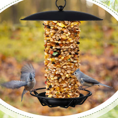 Otoolling feeder hanging in garden among branches demonstrating natural placement and bird attraction