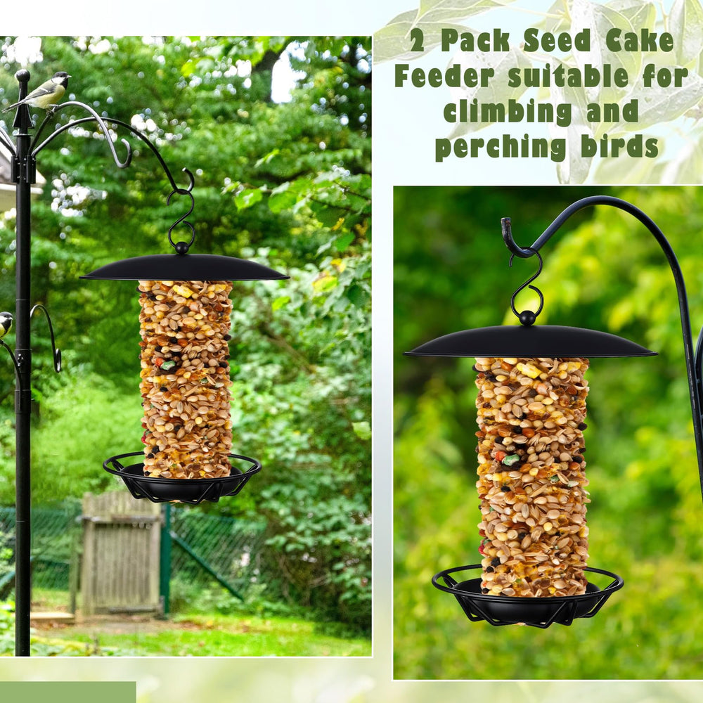 Otoolling feeder with small bird perched on tray illustrating stable perches and feeding access