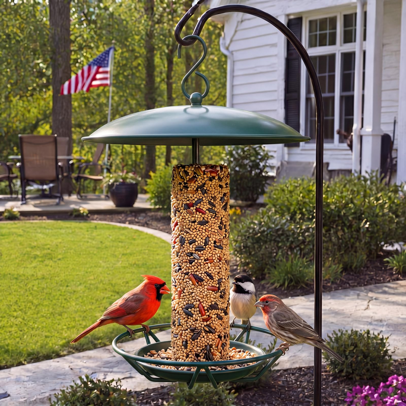 Otoolling seed cake loaded view demonstrating ample capacity and easy bird access