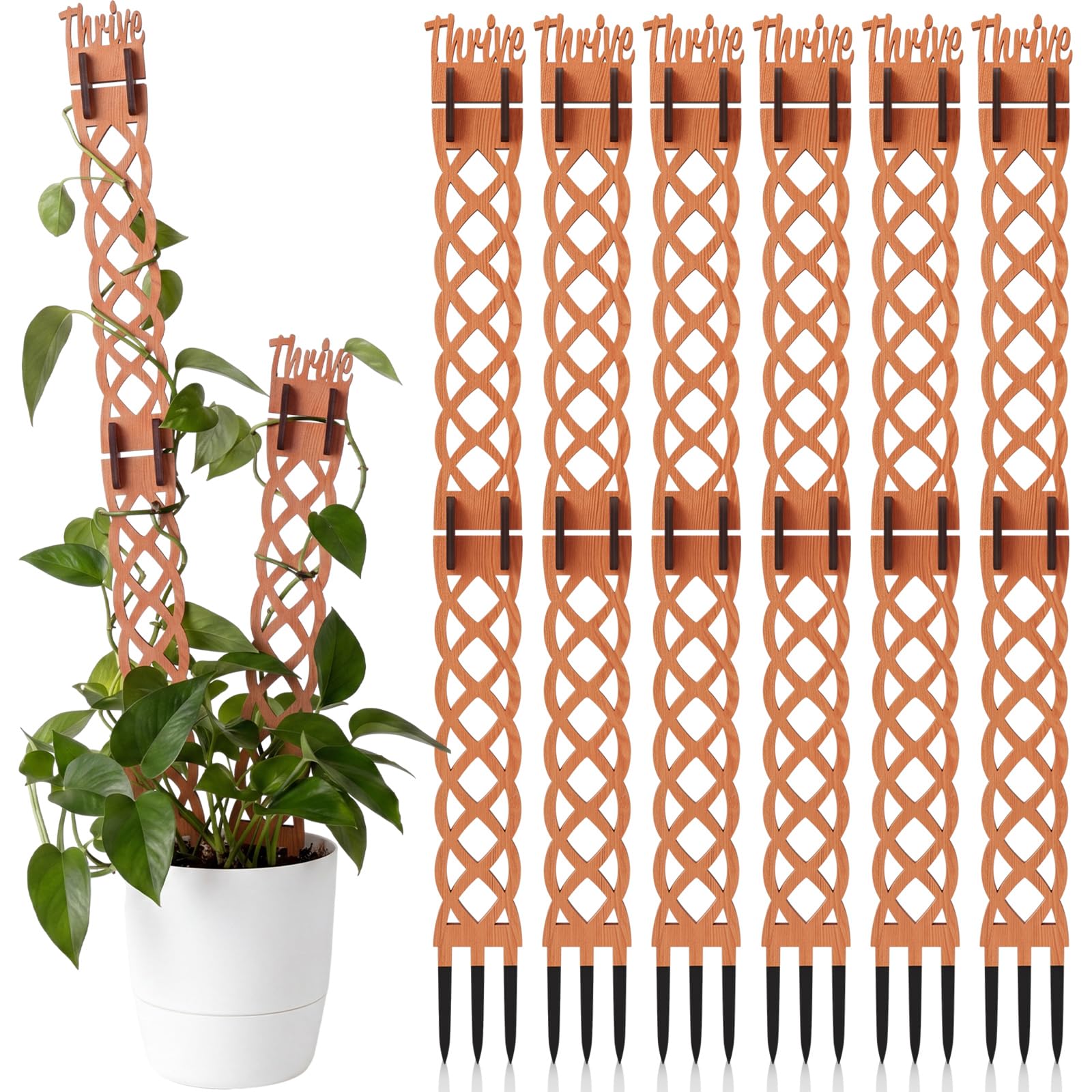 Otoolling wooden trellis front view showing diamond pattern and natural finish, enhancing plant display