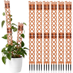 Otoolling wooden trellis front view showing diamond pattern and natural finish, enhancing plant display