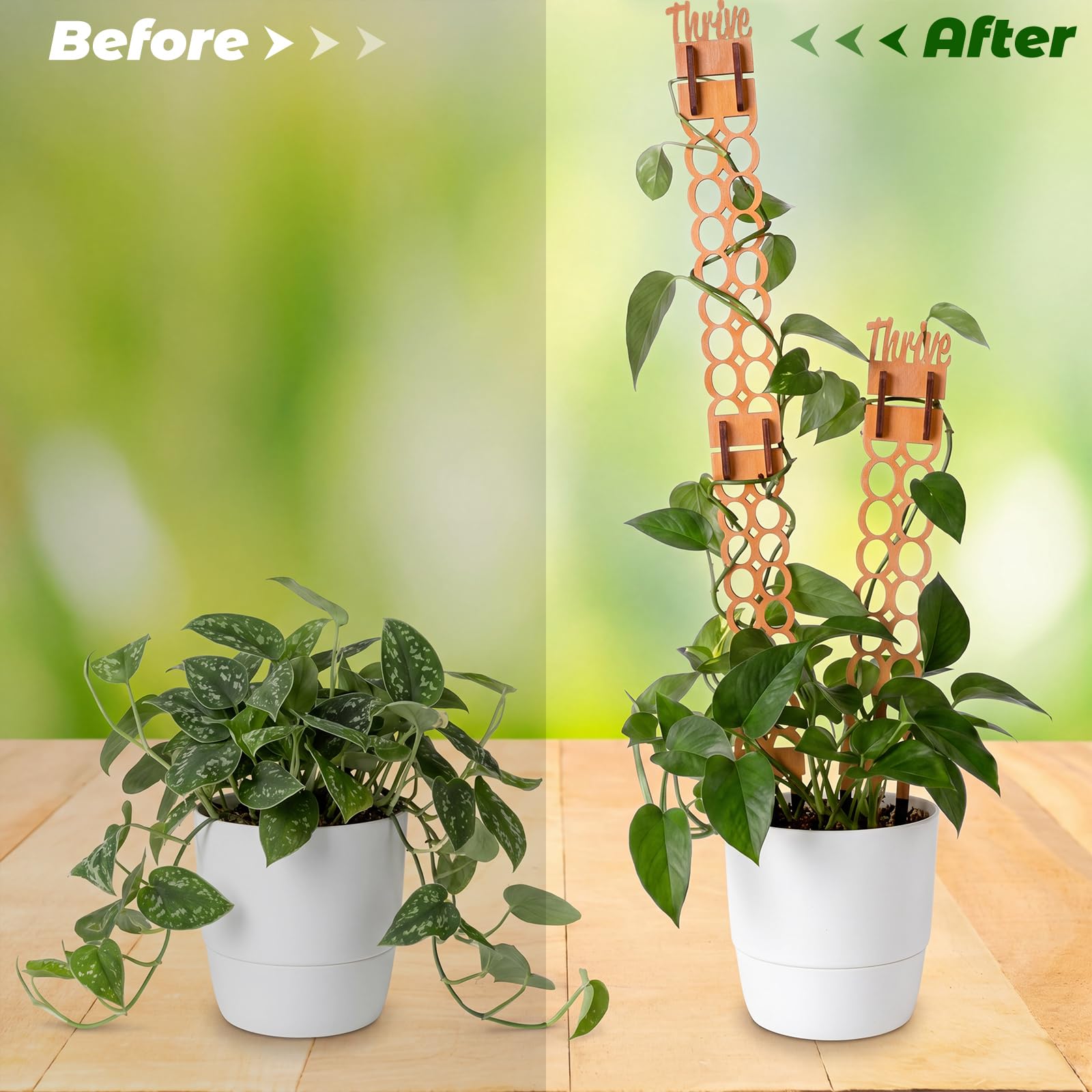 Otoolling trellis height comparison with ruler showing expandable capacity benefit