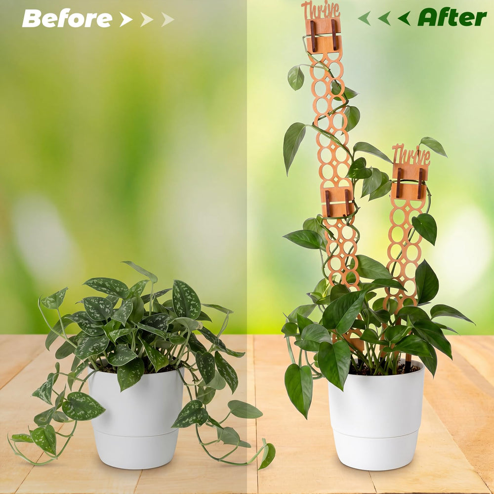 Otoolling trellis height comparison with ruler showing expandable capacity benefit