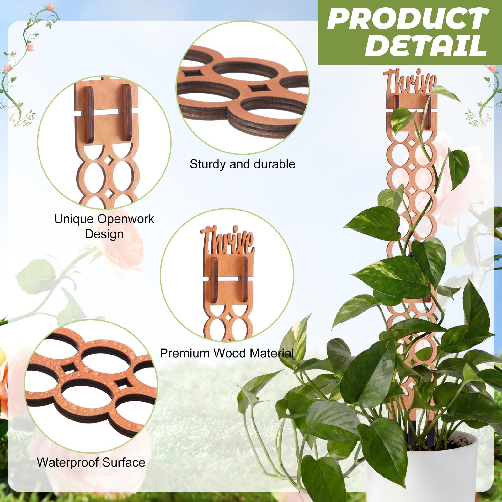 Otoolling trellis in pot styling plants upright and saving space benefit