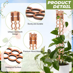 Otoolling trellis in pot styling plants upright and saving space benefit