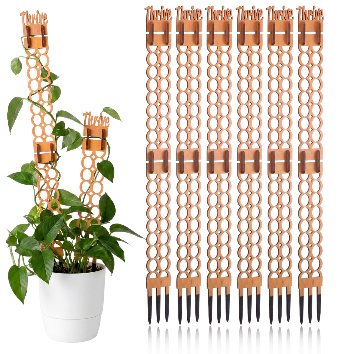 Otoolling trellis front view showing full set and natural wood benefits