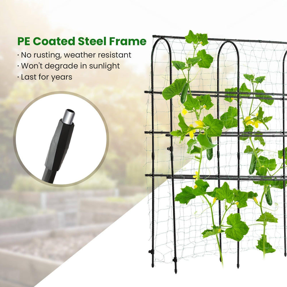 OTOSUNNY assembled arch covered in climbing roses showcasing strong plant support and beauty