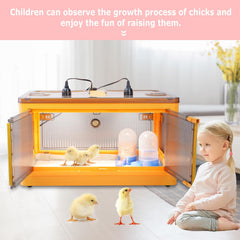OUJIMAI transparent top and sides for easy chick observation and monitoring