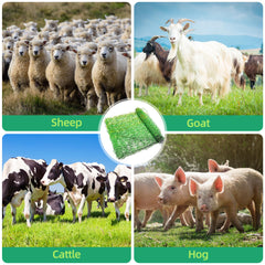 ouluu fiberglass post and double-spiked stake for firm ground hold