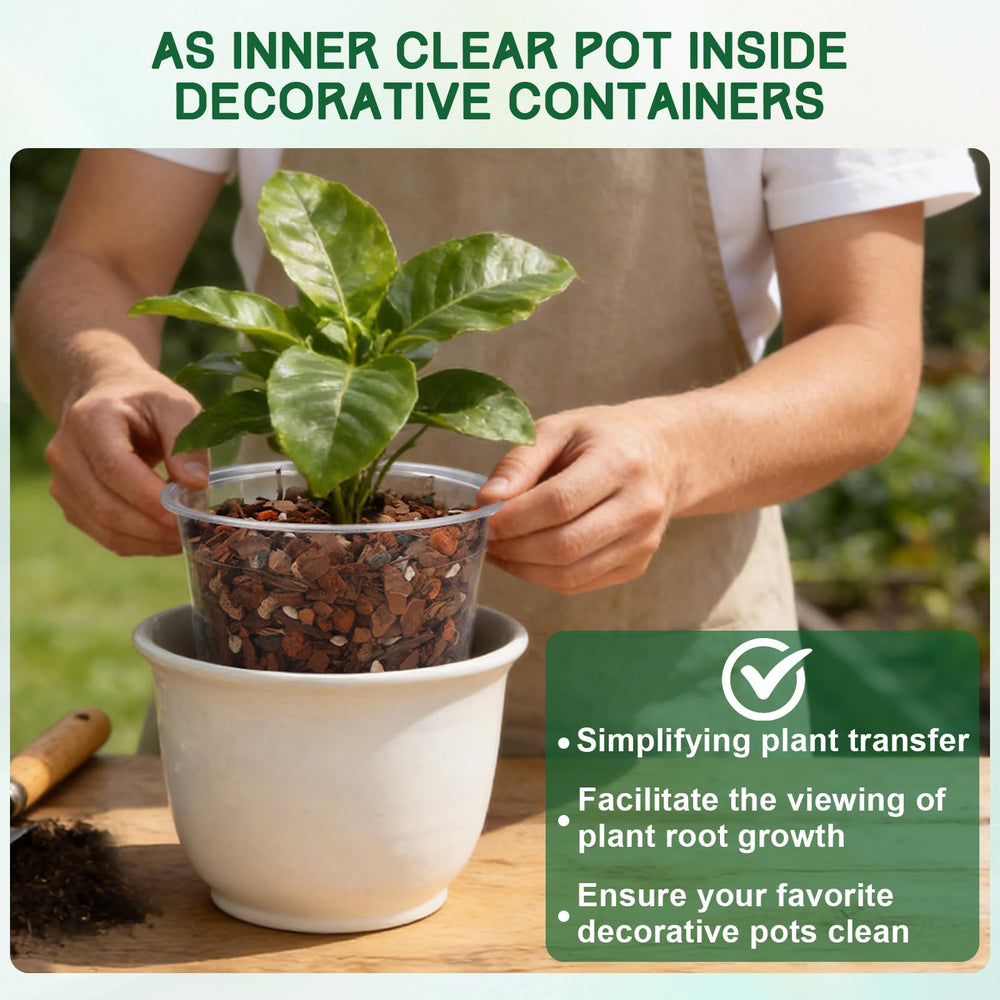 OUPSAUI pot in use with seedling showing easy monitoring of growth