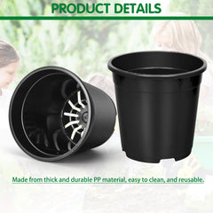 OUPSAUI pot in use with seedlings illustrating healthy starter growth