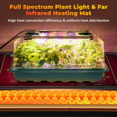 Ourhom full-spectrum grow light panel above tray providing balanced light for sturdy, compact seedlings