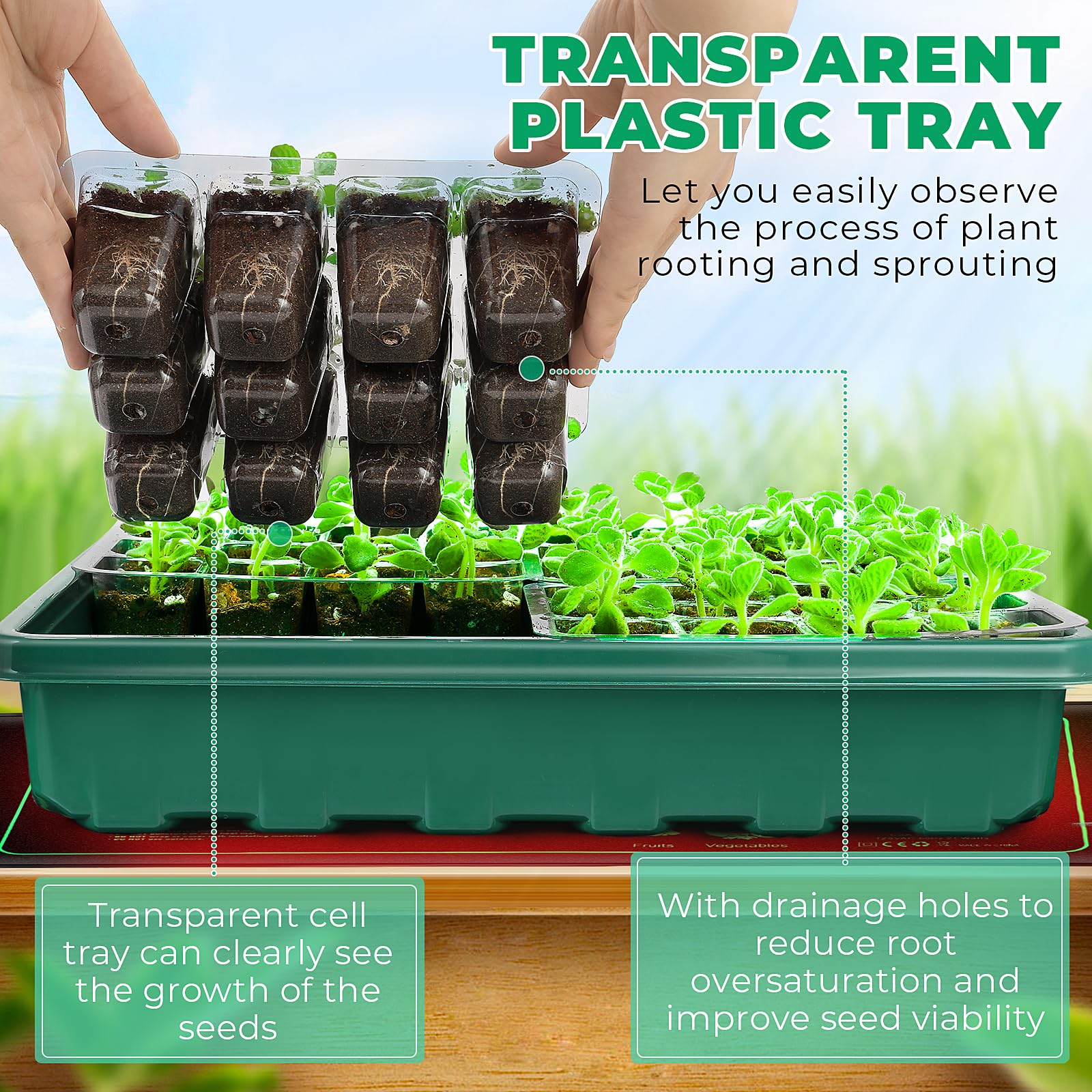 Ourhom kit arranged on a windowsill in home setting showcasing year-round indoor propagation benefits