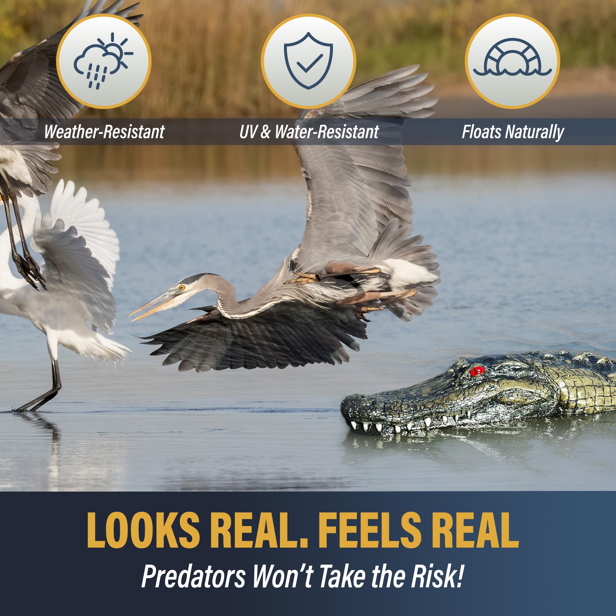 Outdoor Water Solutions floating alligator in a garden pond adding realism and protecting fish