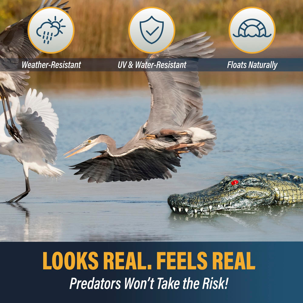 Outdoor Water Solutions floating alligator in a garden pond adding realism and protecting fish