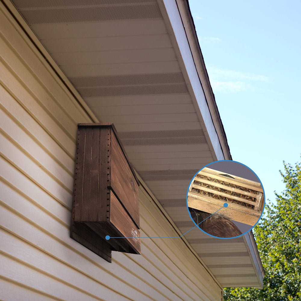 Outer Trails bat house in garden setting shows wildlife-friendly habitat and natural balance