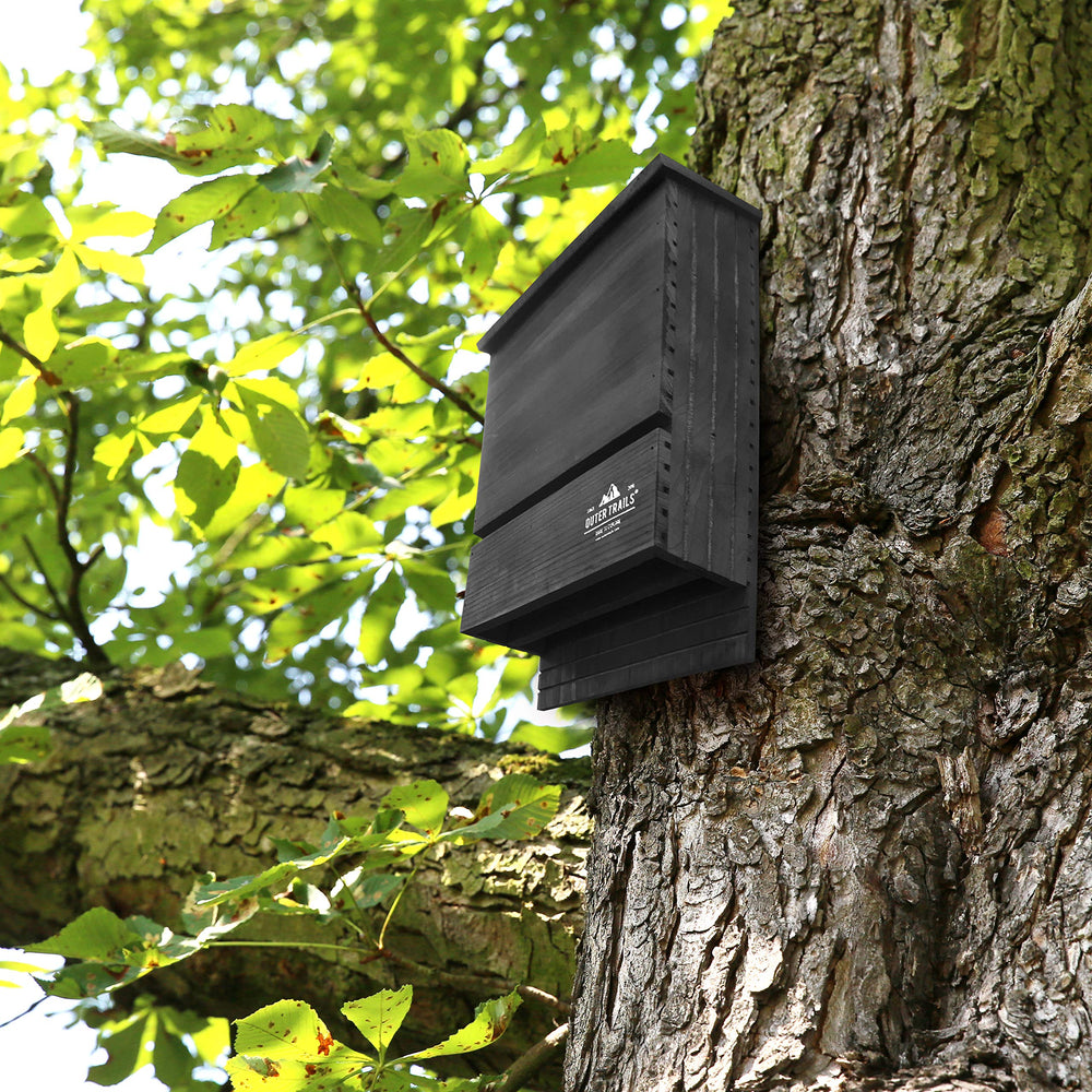 Outer Trails bat house next to ruler for scale benefit: clear size reference