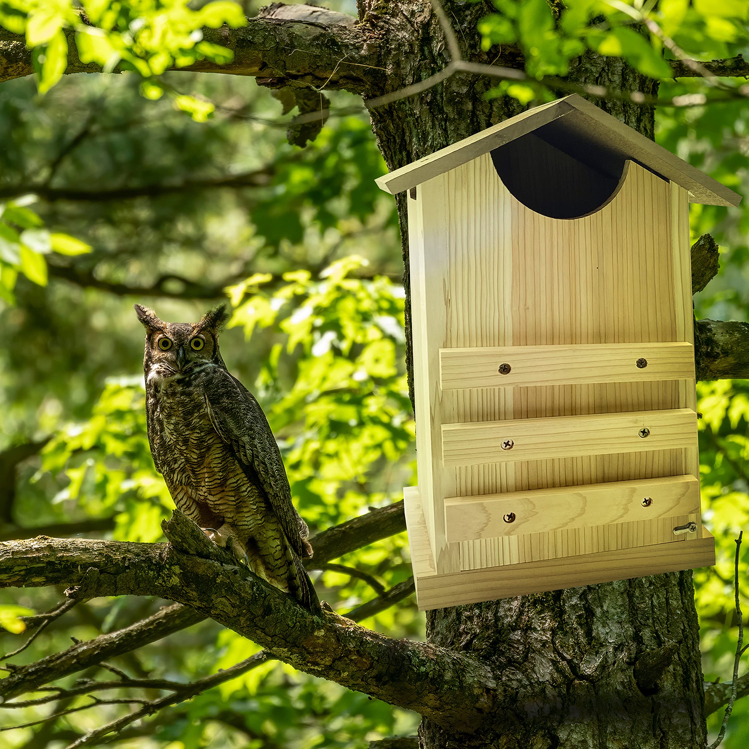 Outer Trails owl house next to ruler showing 7.5 x 8.25 x 13.75 inch dimensions for proper sizing