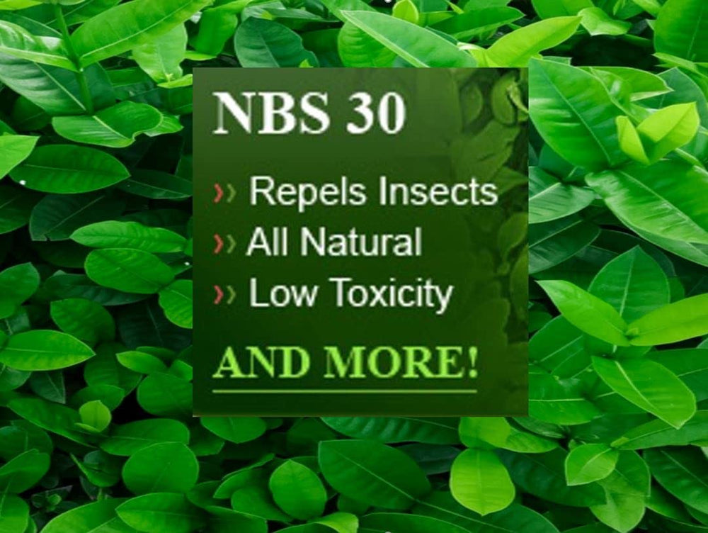 Outlast NBS30 close-up of liquid texture highlighting natural-ingredient clarity benefit