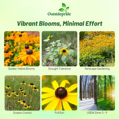 Outsidepride field of golden blooms in a meadow showing vibrant pollinator-friendly display
