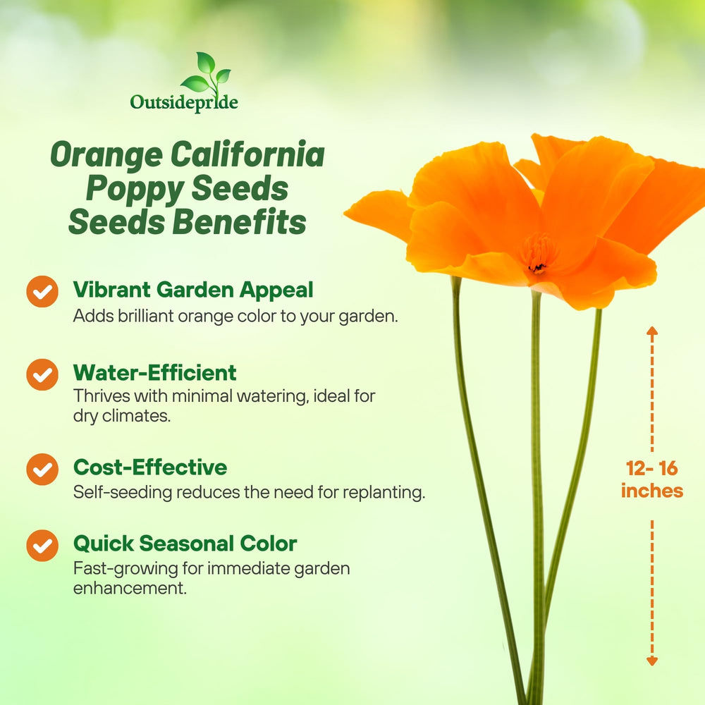 Outsidepride wide meadow of orange poppies demonstrating large coverage