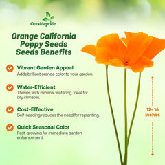 Outsidepride wide meadow of orange poppies demonstrating large coverage