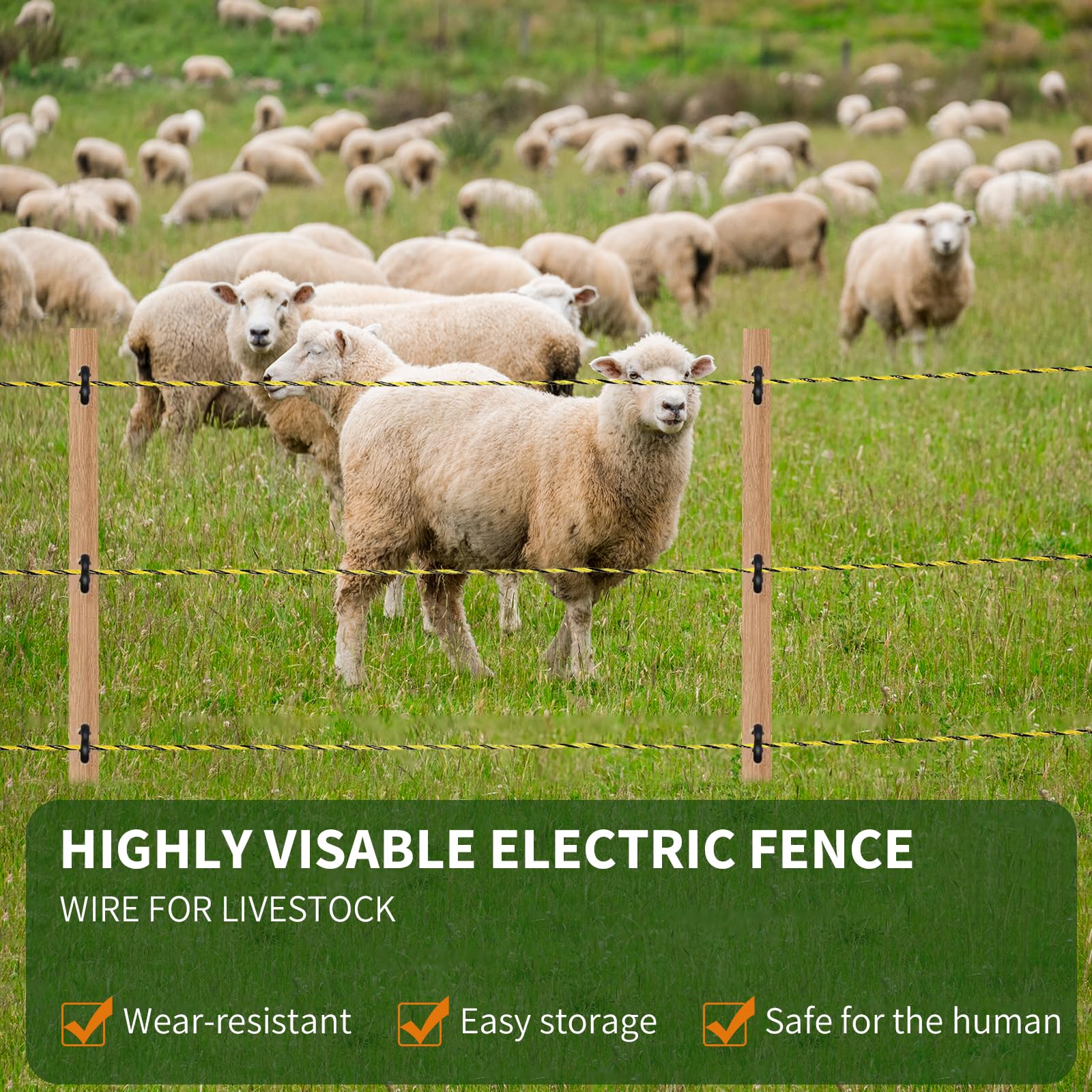 Outtive installed electric fence around pasture showing secure livestock containment