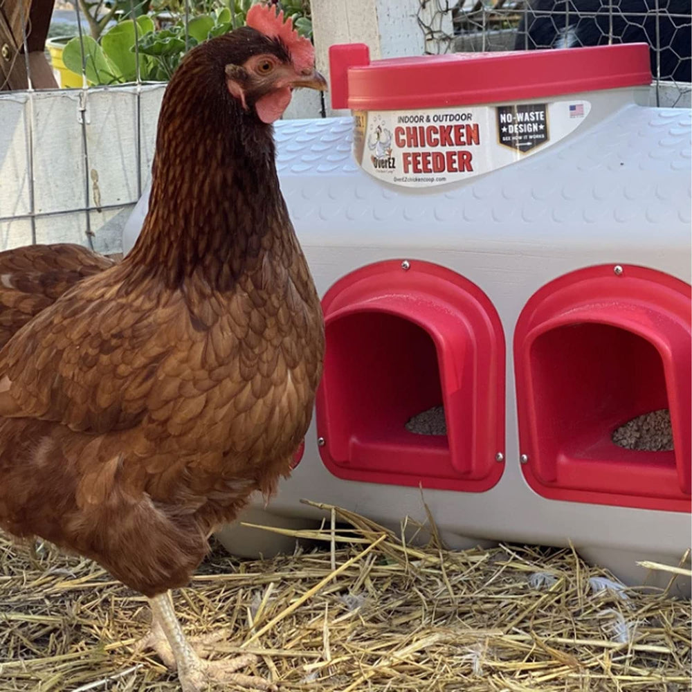 OverEZ feeder installed inside chicken coop keeping feed dry and accessible