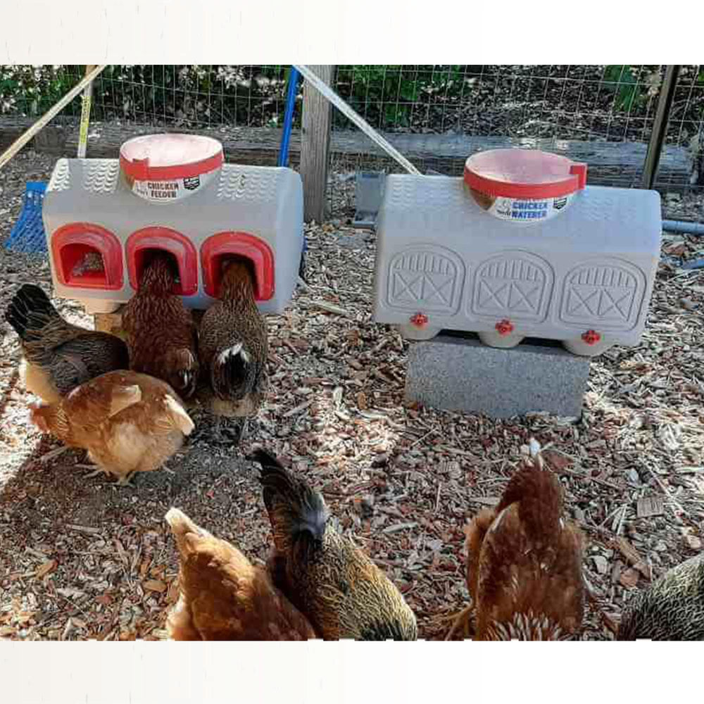 OverEZ Chicken Coop packaging and dimension label illustrating size information benefit informed purchase