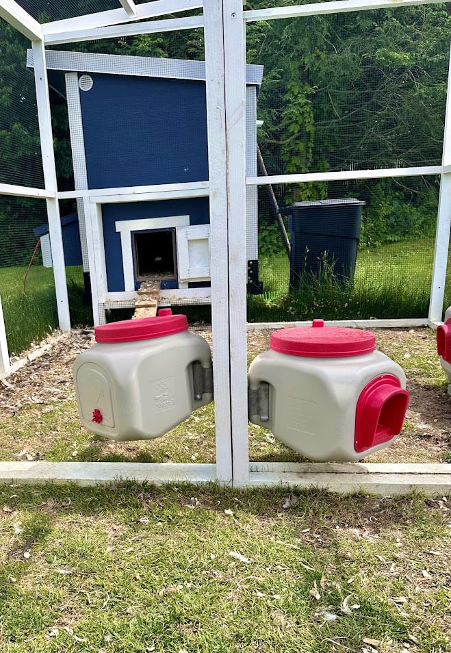 OverEZ waterer inside a coop with hens highlighting cleaner hydration