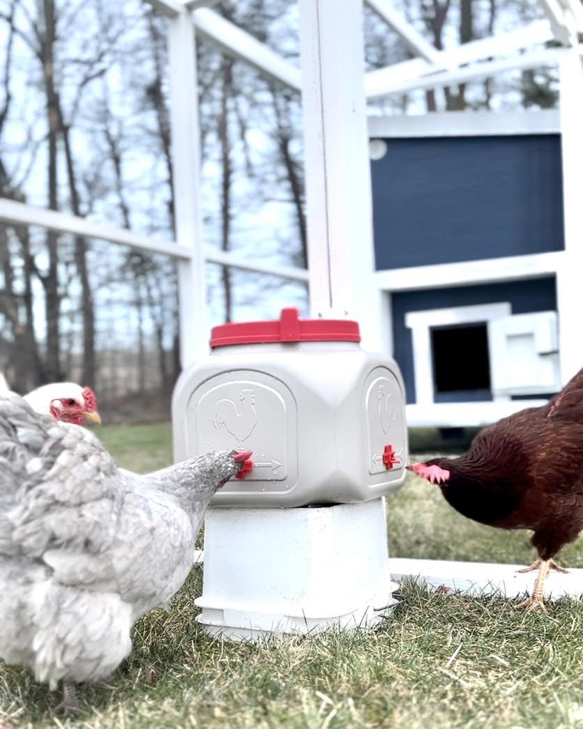 OverEZ waterer beside a standard bucket showing 5-gallon capacity benefit