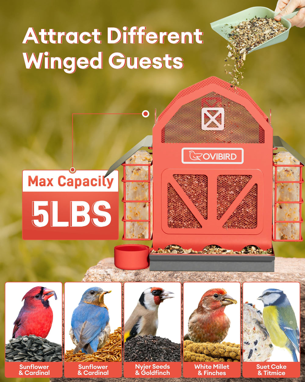 OVIBIRD detailed feeding ports with perches allowing multiple birds to feed